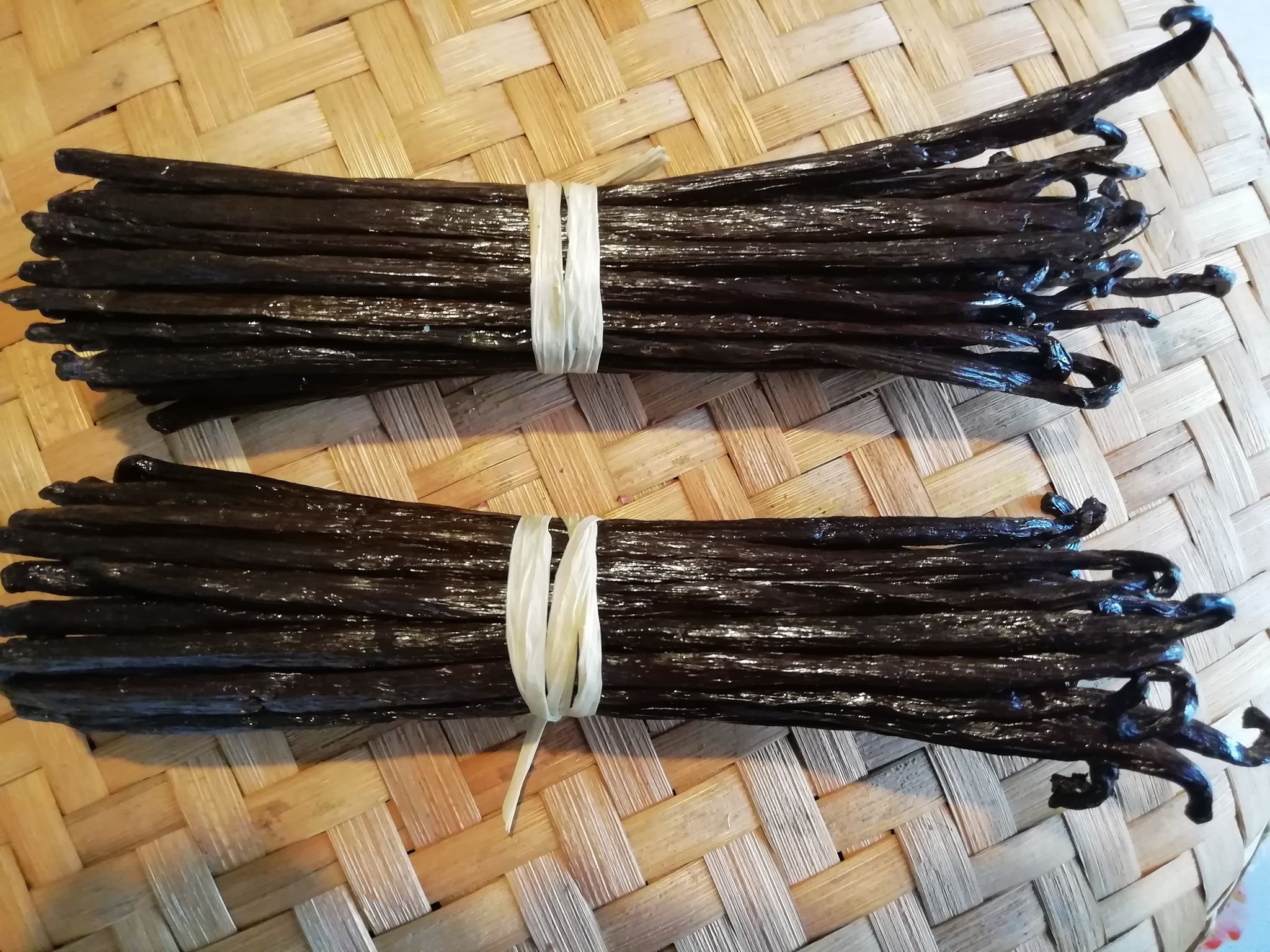 vanille bourbon en gousse de Madagascar (16-17cm)
